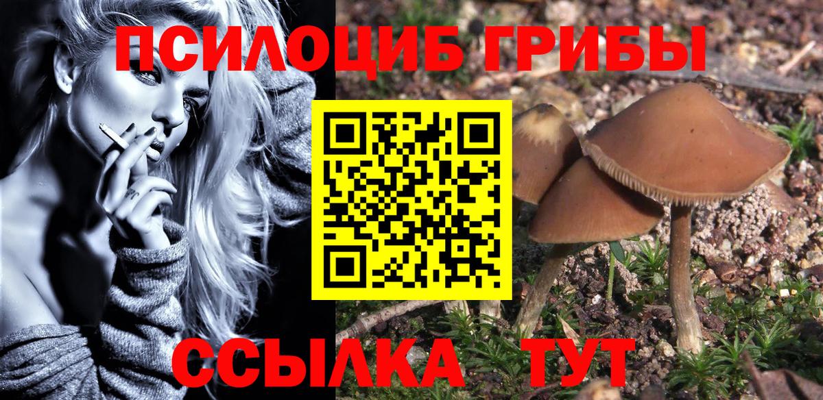 Псилоцибиновые грибы Magic Shrooms Владикавказ