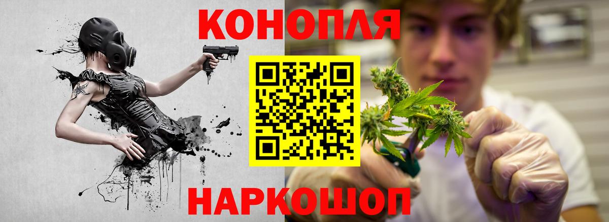 Каннабис план Владикавказ